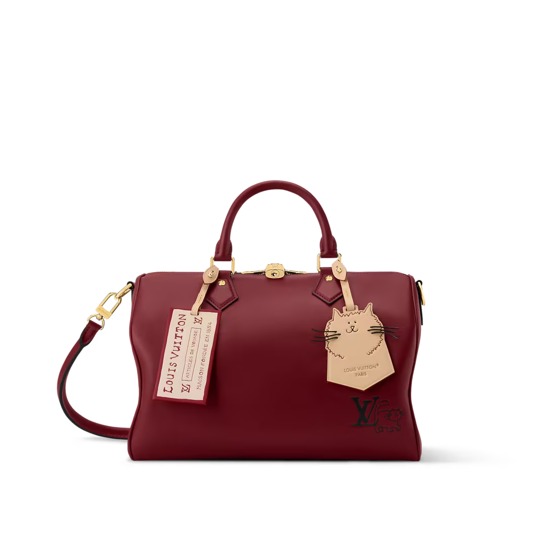 Louis Vuitton M25766 Speedy Soft 30